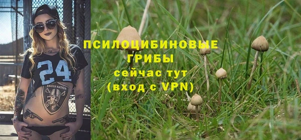гашишное масло Осинники