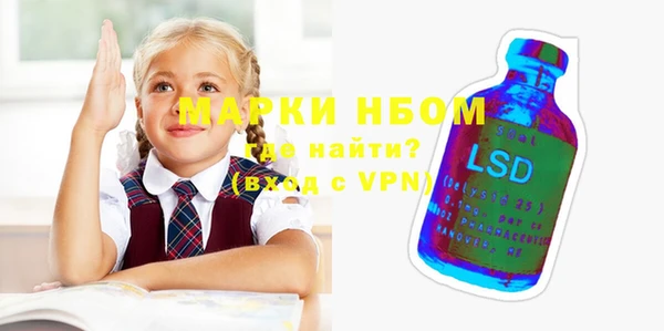 ПСИЛОЦИБИНОВЫЕ ГРИБЫ Богданович