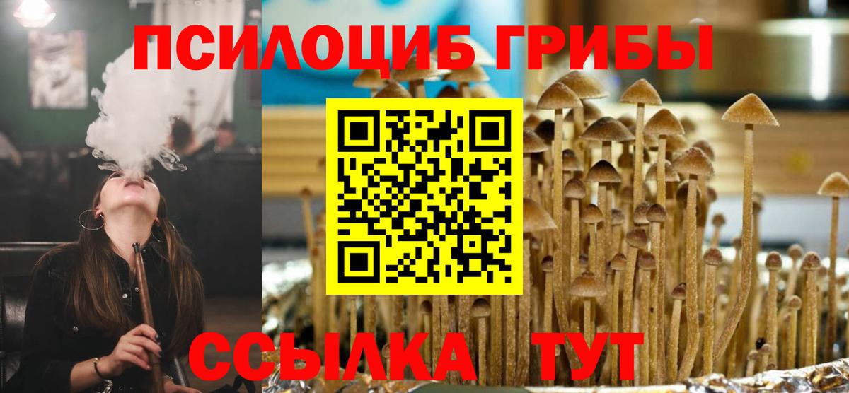 Галлюциногенные грибы Psilocybine cubensis Кириши